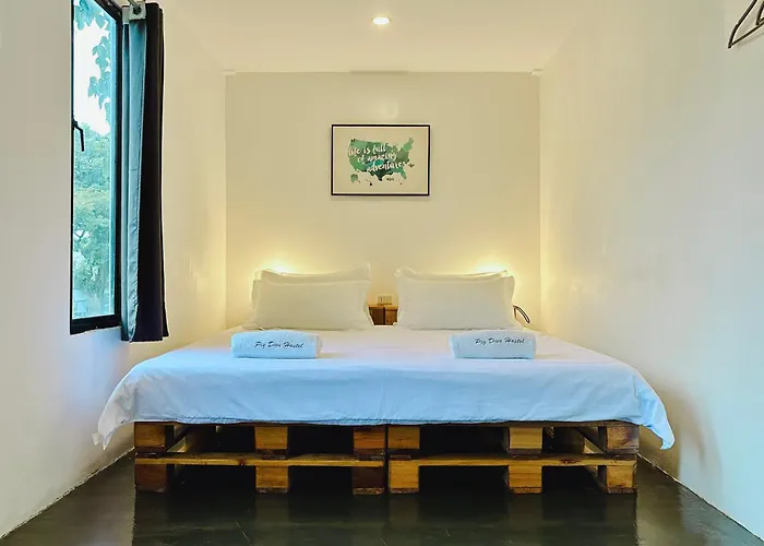Auberge de jeunesse Pig Dive Moalboal