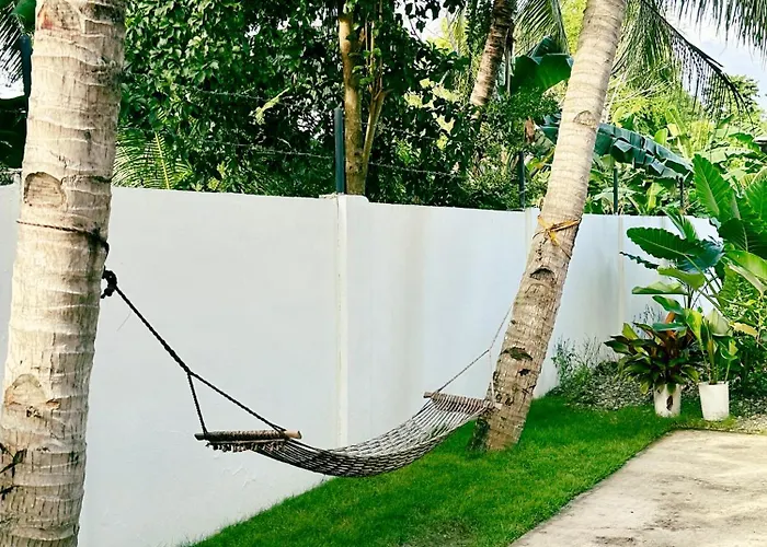 Pig Dive * Moalboal