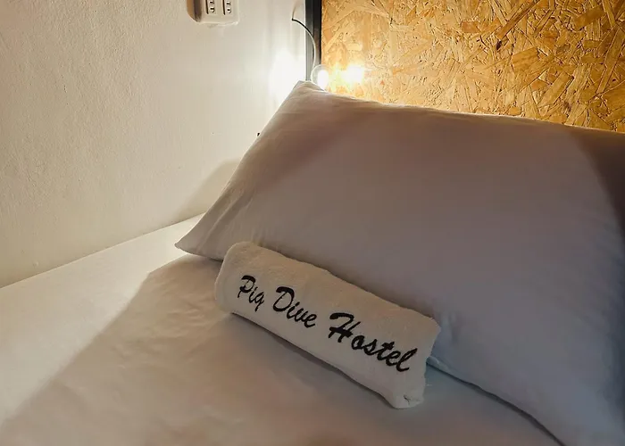 Auberge de jeunesse Pig Dive *