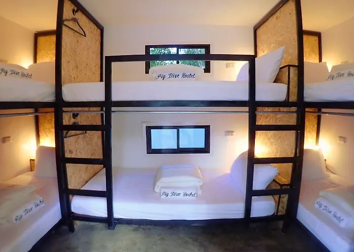 Auberge de jeunesse Pig Dive *