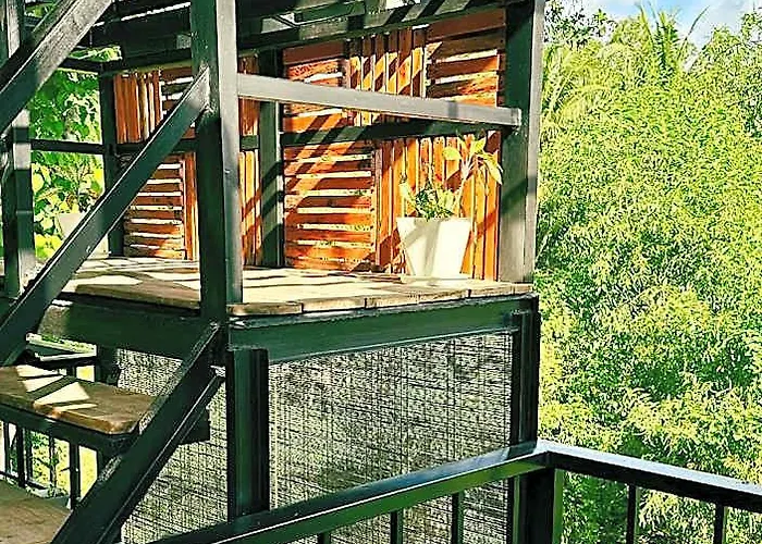Auberge de jeunesse Pig Dive