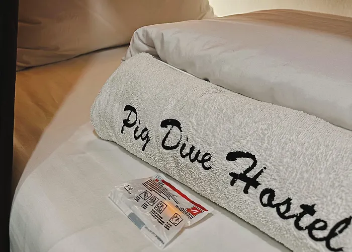 Pig Dive 호스텔 *